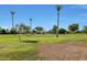 View of community green space with palm trees and clear sky at 10413 W Oakmont Dr, Sun City, AZ 85351