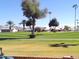 Scenic view of a lush green golf course with palm trees and homes in the background at 2529 N Higley Rd, Mesa, AZ 85215