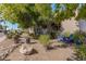 Landscaped front yard with cacti and blue chairs at 7774 E Mariposa Dr, Scottsdale, AZ 85251