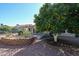 Backyard with mature citrus trees and raised garden beds at 2767 Leisure World --, Mesa, AZ 85206