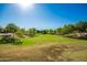 Expansive grassy area with mature trees at 10523 E Simone Ave, Mesa, AZ 85212