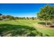 Green community space with trees and grass at 10523 E Simone Ave, Mesa, AZ 85212