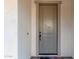 Modern front door with a simple design and black hardware at 10523 E Simone Ave, Mesa, AZ 85212