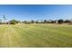 Large grassy field at 2057 E Marquette Dr, Gilbert, AZ 85234