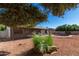 Landscaped backyard with a refreshing pool at 13944 N 88Th Pl, Scottsdale, AZ 85260