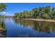 River view with lush vegetation at 17427 E Desert Vista Trl, Rio Verde, AZ 85263