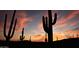 Silhouette of cacti against a vibrant sunset sky at 38440 N 95Th St, Scottsdale, AZ 85262