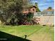 Backyard with grassy area and bougainvillea at 3614 W Krall St, Phoenix, AZ 85019
