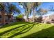 Large backyard with grassy lawn and mature trees at 26207 N 47Th Pl, Phoenix, AZ 85050