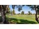 Landscaped park with mature trees and lush green grass at 7428 E Carol Cir, Mesa, AZ 85208
