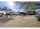 Landscaped backyard with a view of the house at 28505 N 146Th St, Scottsdale, AZ 85262