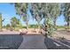 Brick pathway, stone seating area, and desert landscaping at 3353 N Snead Dr, Goodyear, AZ 85395