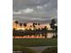 Scenic waterfront view at sunset with palm trees at 3353 N Snead Dr, Goodyear, AZ 85395