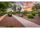 Landscaped pathway with desert plants and trees leads to a beautiful home at 23228 N Gaviota Dr, Sun City West, AZ 85375