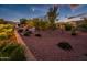 Spacious backyard with gravel and desert landscaping at sunset at 23228 N Gaviota Dr, Sun City West, AZ 85375