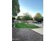 Landscaped backyard featuring a grassy area and rock accents at 4450 S Rio Dr, Chandler, AZ 85249