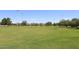 Large grassy area with distant mountain views at 15626 N 50Th St, Scottsdale, AZ 85254