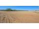 Empty lot behind the house with dirt and desert plants at 29408 N 244Th Dr, Wittmann, AZ 85361