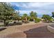 Landscaped backyard with desert plants and gravel at 14220 W Wagon Wheel Dr, Sun City West, AZ 85375