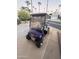 Purple EZGO golf cart parked on a paved driveway at 1541 W Yurok Ave, Apache Junction, AZ 85119