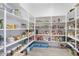 Well-organized pantry with ample shelving for storage at 31006 N Memory Ln, Queen Creek, AZ 85142