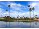 Scenic golf course with palm trees and calm lake at 23817 S Harmony Way, Sun Lakes, AZ 85248