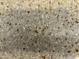 Close-up view of speckled countertop at 7750 E Broadway Rd # 761, Mesa, AZ 85208