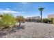 Landscaped backyard with gravel, desert plants, and a palm tree at 14109 W Horizon Dr, Sun City West, AZ 85375