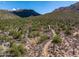 Desert landscape with cacti and mountain views at 20958 N 112Th St, Scottsdale, AZ 85255