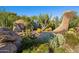 Impressive desert landscaping with a variety of cacti and succulents at 3044 Ironwood Rd, Carefree, AZ 85377