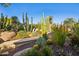 Landscaped backyard featuring diverse desert plants and rock formations at 3044 Ironwood Rd, Carefree, AZ 85377