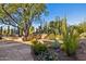 Landscaped backyard showcasing a variety of cacti, succulents, and stonework at 3044 Ironwood Rd, Carefree, AZ 85377