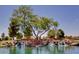 Landscaped water feature with waterfall and lush greenery at 41906 W Solitare Dr, Maricopa, AZ 85138