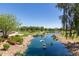 Serene community waterway with lush landscaping and walking paths at 42915 W Kingfisher Dr, Maricopa, AZ 85138