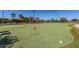 Enjoyable putting green with flags and landscaping at 42915 W Kingfisher Dr, Maricopa, AZ 85138
