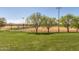 Well maintained baseball field with lush green grass at 42424 N Gavilan Peak Pkwy # 50104, Anthem, AZ 85086