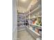 Well-stocked pantry with ample shelving at 27552 W Tonopah Dr, Buckeye, AZ 85396