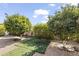 Backyard with two orange trees and artificial turf at 4019 E Calypso Ave, Mesa, AZ 85206