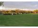 Large grassy field with distant mountain views at 4512 W Stoneman Dr, Anthem, AZ 85086