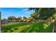 Large backyard with a grassy area, pool, and patio at 6429 S Honor Ct, Gilbert, AZ 85298