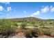 Scenic view of a lush green golf course and desert landscape at 16349 E Links Dr, Fountain Hills, AZ 85268