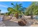 Mature palm trees and desert landscaping at 19926 N Organ Pipe Dr, Surprise, AZ 85374