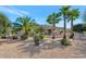 Landscaped backyard with desert plants and palm trees at 19926 N Organ Pipe Dr, Surprise, AZ 85374