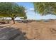 Large pasture area with mature trees and riding area at 35916 N 213Th Dr, Wittmann, AZ 85361