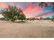 View of a desert backyard at sunset with sparse trees at 14428 E Monument Dr, Scottsdale, AZ 85262