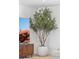 Living room features a large modern TV and a tall potted tree at 1455 E Tuckey Ln, Phoenix, AZ 85014