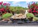 Serene backyard with a beautiful water feature and lush landscaping at 17828 W Mariposa Dr, Surprise, AZ 85374