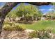 Landscaped grounds with lush grass, mature trees, and desert plants at 10044 E Graythorn Dr, Scottsdale, AZ 85262
