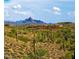 Desert landscape with cacti and mountains in the background at 10401 N Saguaro Blvd # 224, Fountain Hills, AZ 85268