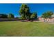Large grassy backyard with mature trees and landscaping at 1912 E Gemini Pl, Chandler, AZ 85249